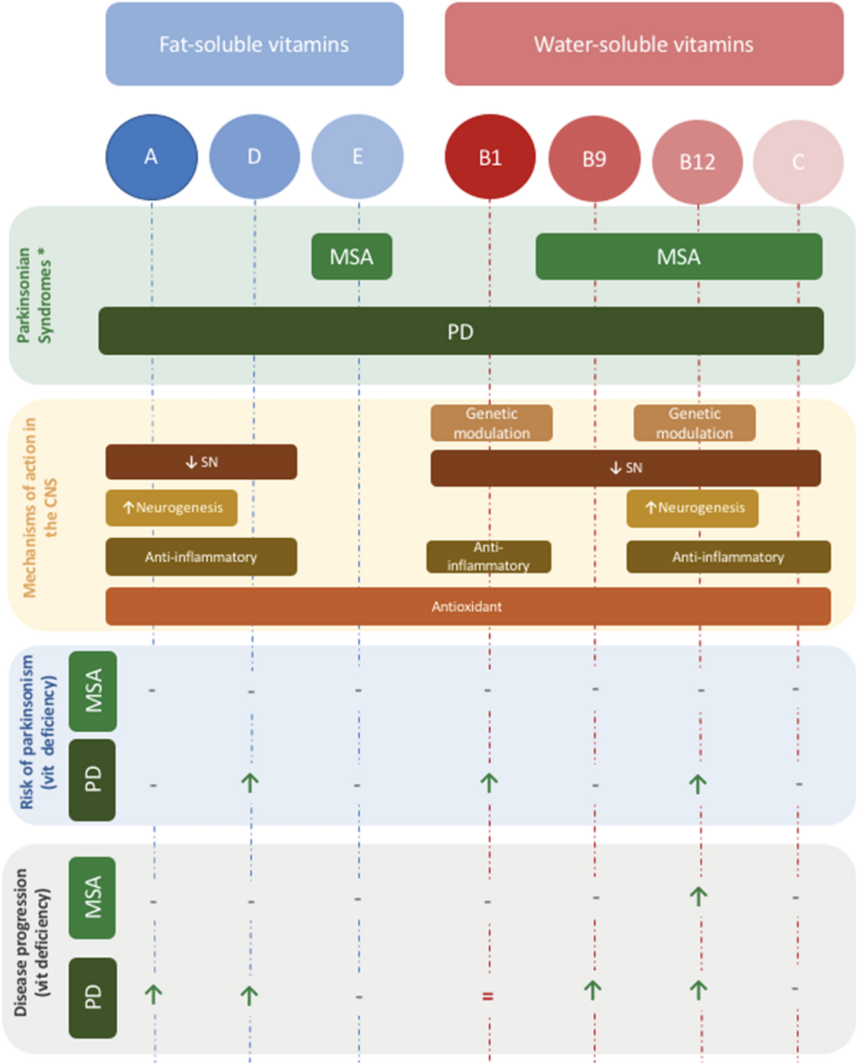 Parkinson's disease and vitamins: a focus on vitamin B12 | Journal of  Neural Transmission | Springer Nature Link
