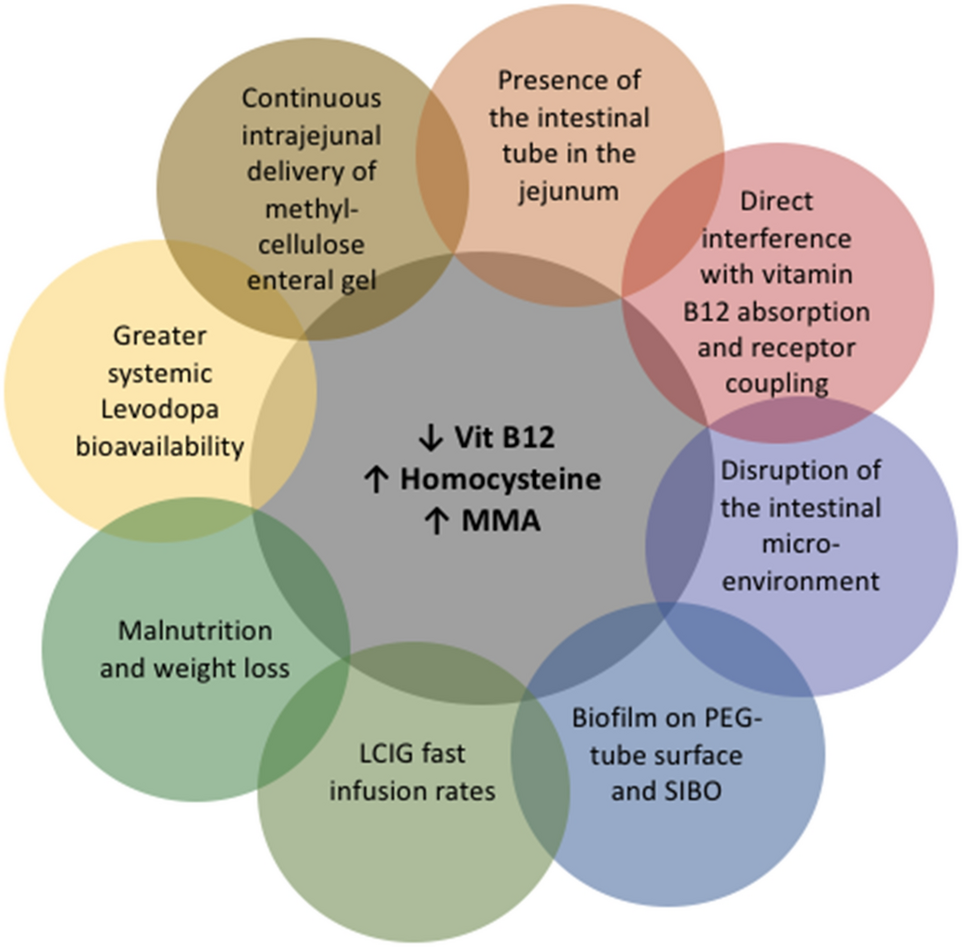 b12 injections for parkinson's Parkinson's disease and vitamins: a focus on vitamin B12 | Journal of  Neural Transmission