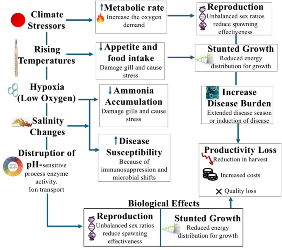 Climate change and aquatic food systems: fish species shifts, productivity  threats, and adaptive pathways | Theoretical and Applied Climatology |  Springer Nature Link