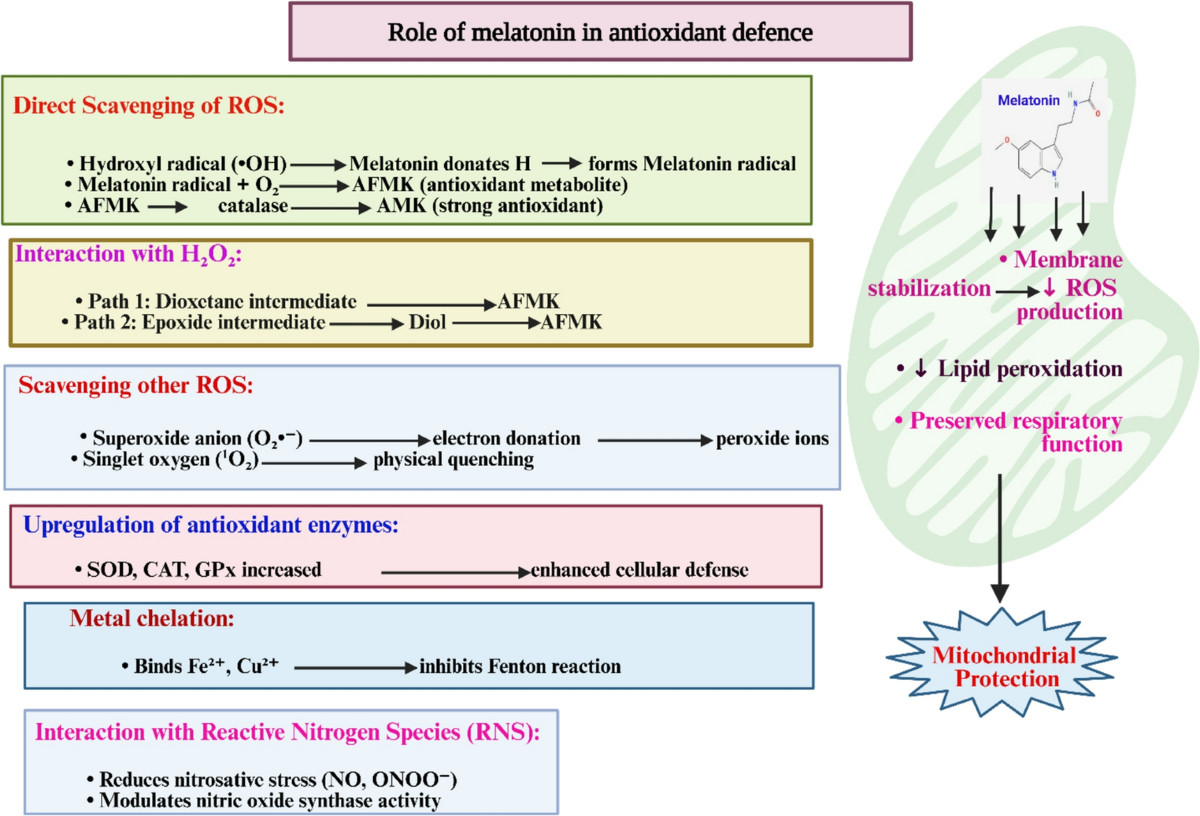 iv glutathione benefits and side effects glutathione iv skin before and after Glutathione for the Skin Lightening :  Benefits & Side Effects- IV