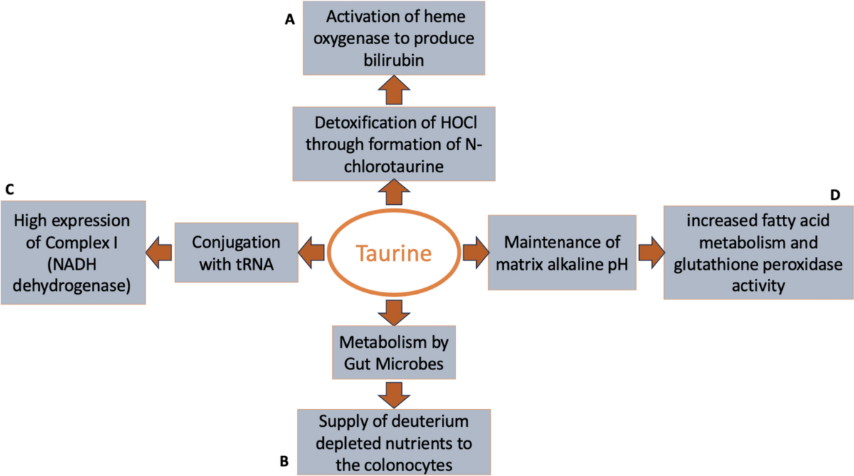 can i mix glutathione and l lysine together Lysine l-lactylation is the dominant lactylation isomer induced by  glycolysis