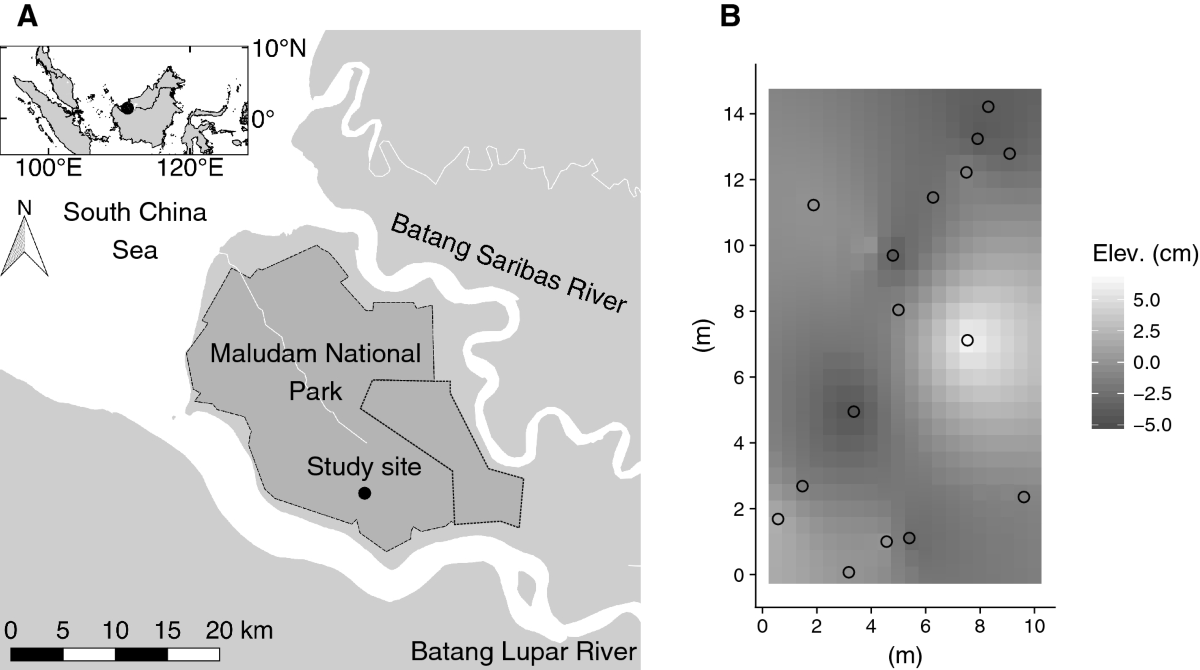 Carbon Dioxide and Methane Emissions from Peat Soil in an Undrained  Tropical Peat Swamp Forest | Ecosystems