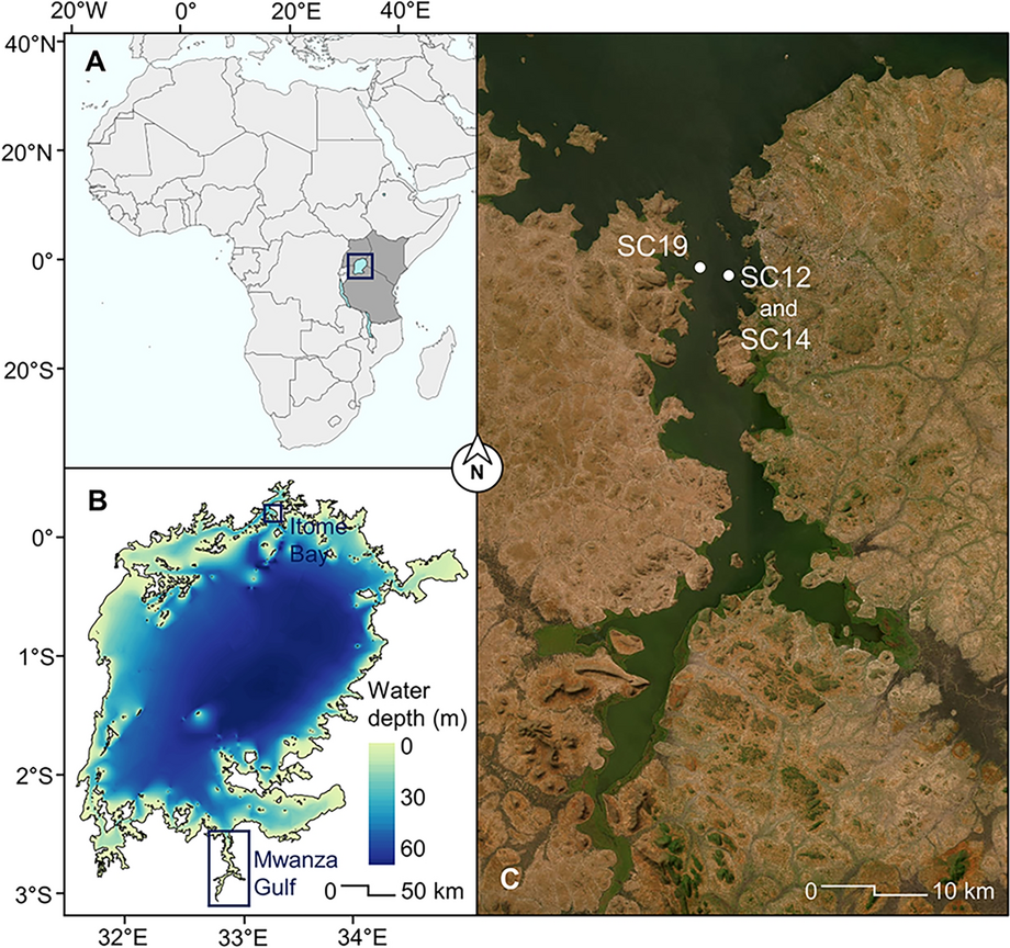 Research on Eutrophication of Shallow Prairie Lakes - Water Canada, image size:920x864