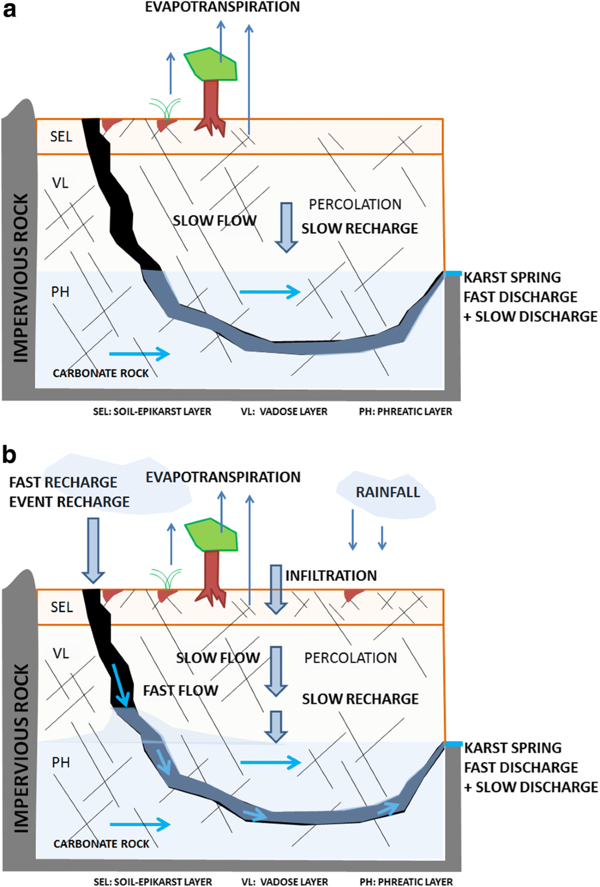 A parsimonious distributed model for simulating transient water flow in a  high-relief karst aquifer | Hydrogeology Journal