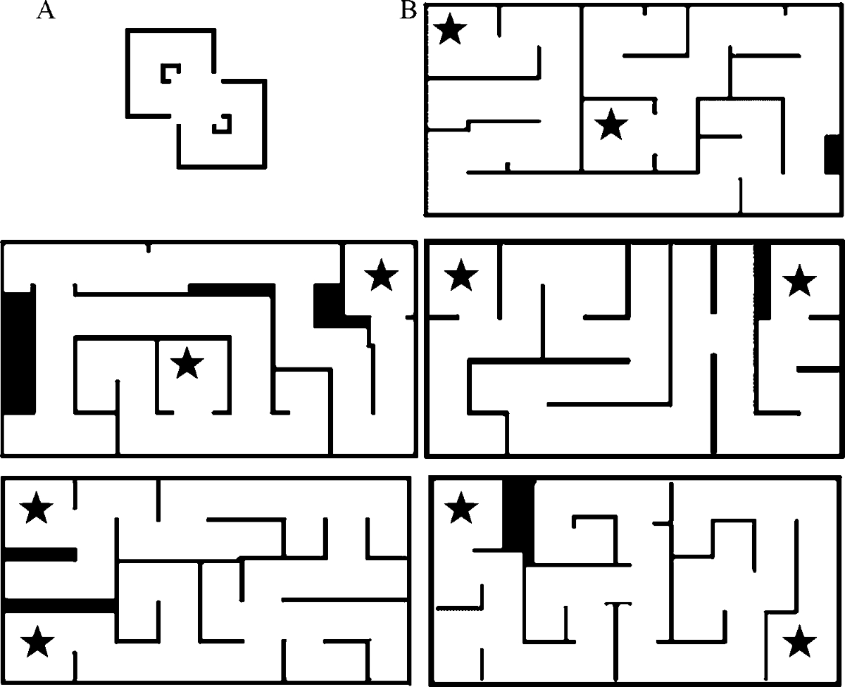 Navigation in immersive virtual reality: a comparison of 1:1 walking to 1:1  wheeling | Virtual Reality