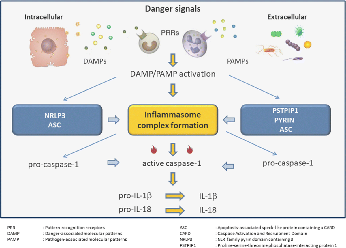 glutathione iv protocol administration dosage maintenance Maxiliv Injection | Gastrointestinal