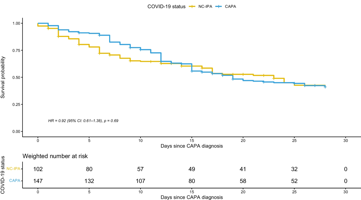 Clinical spectrum of ICU-acquired invasive pulmonary aspergillosis  according to SARS-CoV2 infection: a multicenter prospective cohort study |  European Journal of Clinical Microbiology & Infectious Diseases | Springer  Nature Link