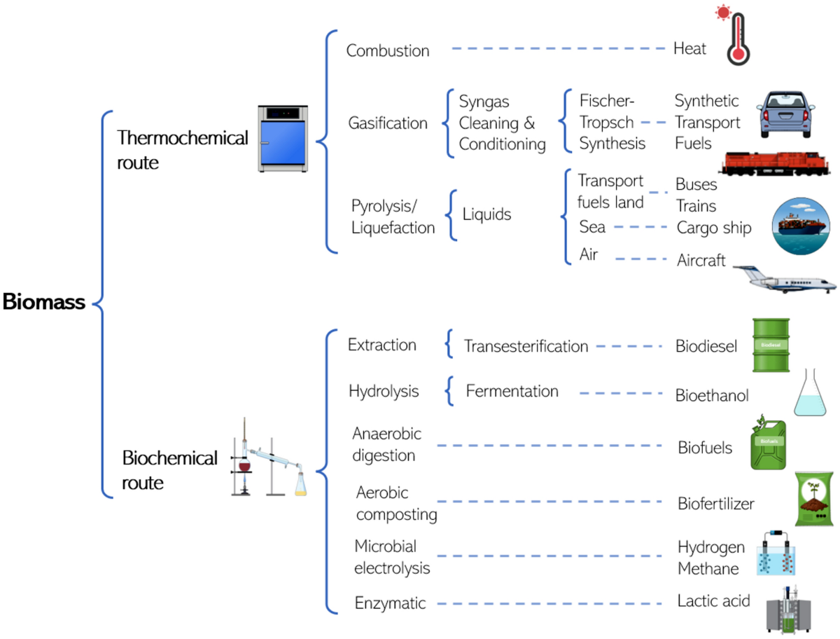 Application of waste biomass for the production of biofuels and catalysts:  a review | Clean Technologies and Environmental Policy