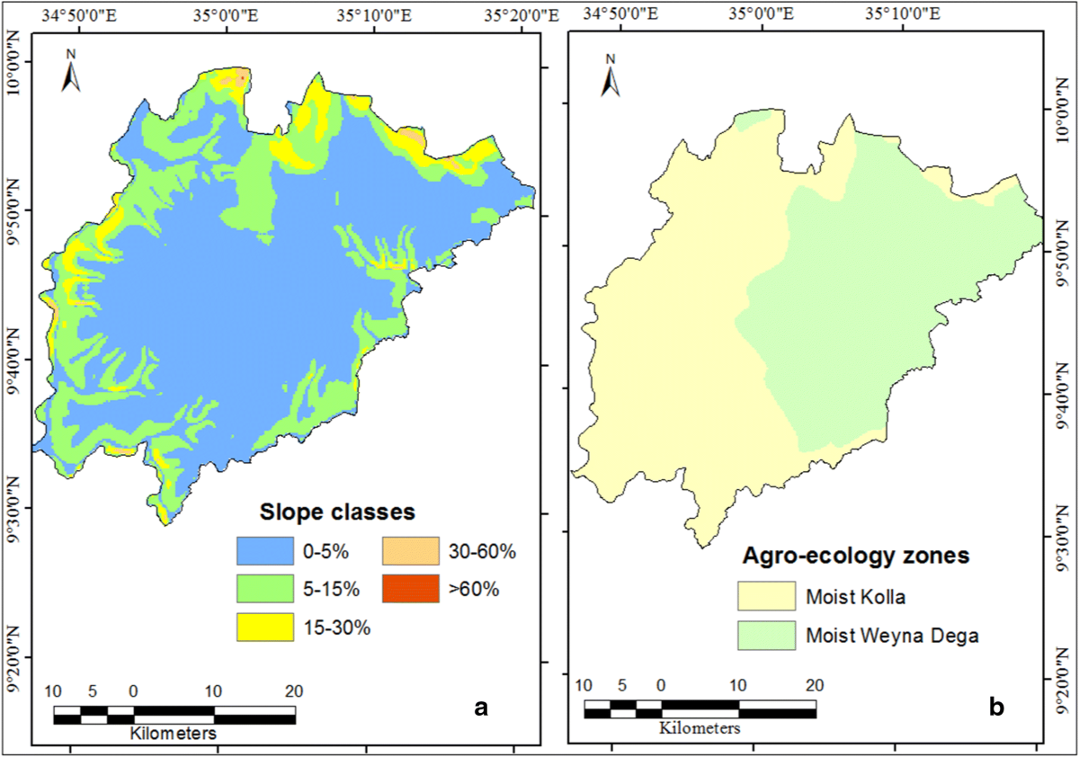 The role of Chomo grass (Brachiaria humidicola) and exclosures in restoring  soil organic matter, total nitrogen, and associated functions in degraded  lands in Ethiopia | Regional Environmental Change