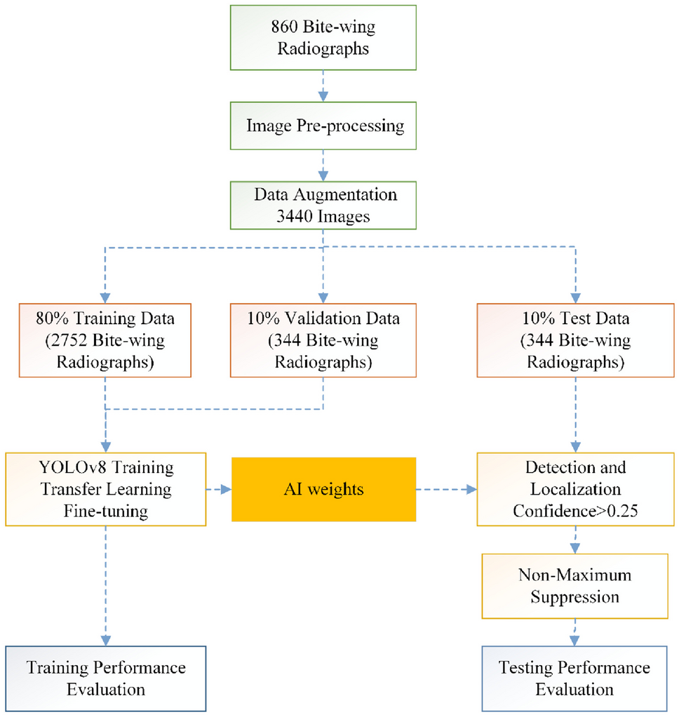 AI-Assisted Detection of Interproximal, Occlusal, and Secondary Caries on  Bite-Wing Radiographs: A Single-Shot Deep Learning Approach | Journal of  Imaging Informatics in Medicine