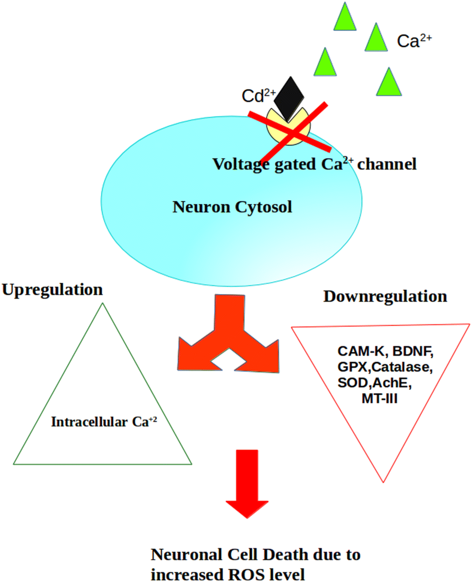 Pollutants inducing epigenetic changes and diseases | Environmental  Chemistry Letters