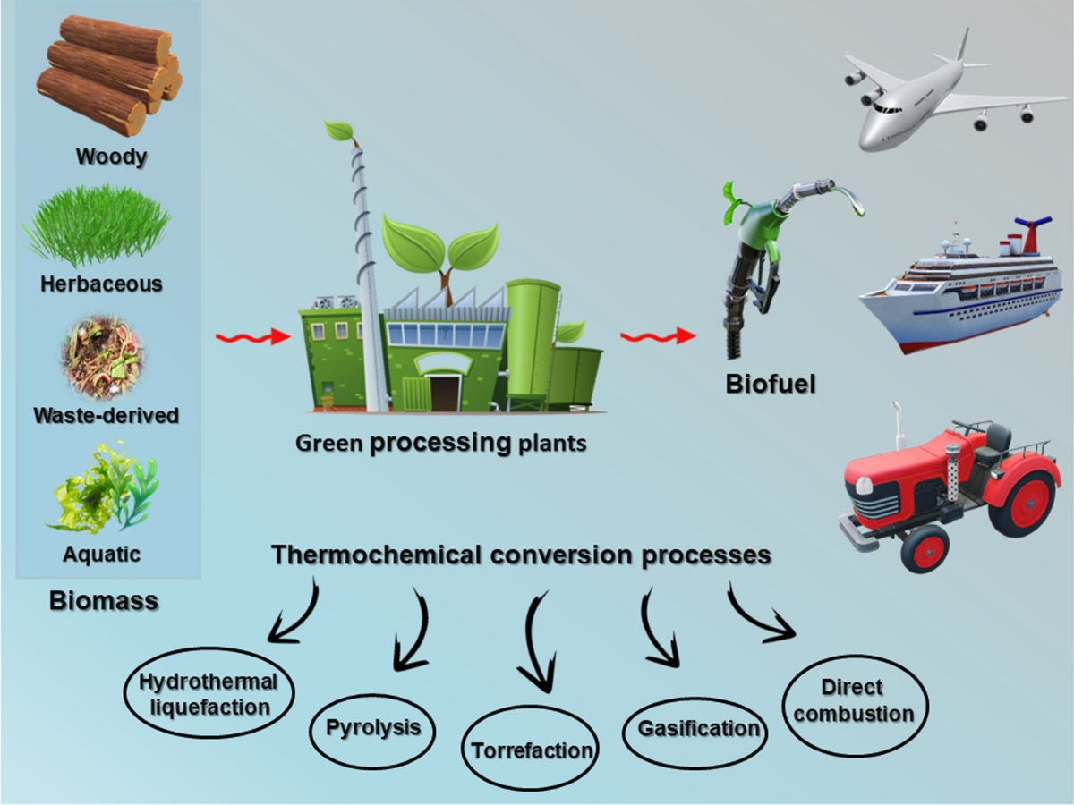 Conversion of biomass to biofuels and life cycle assessment: a review   Environmental Chemistry Letters
