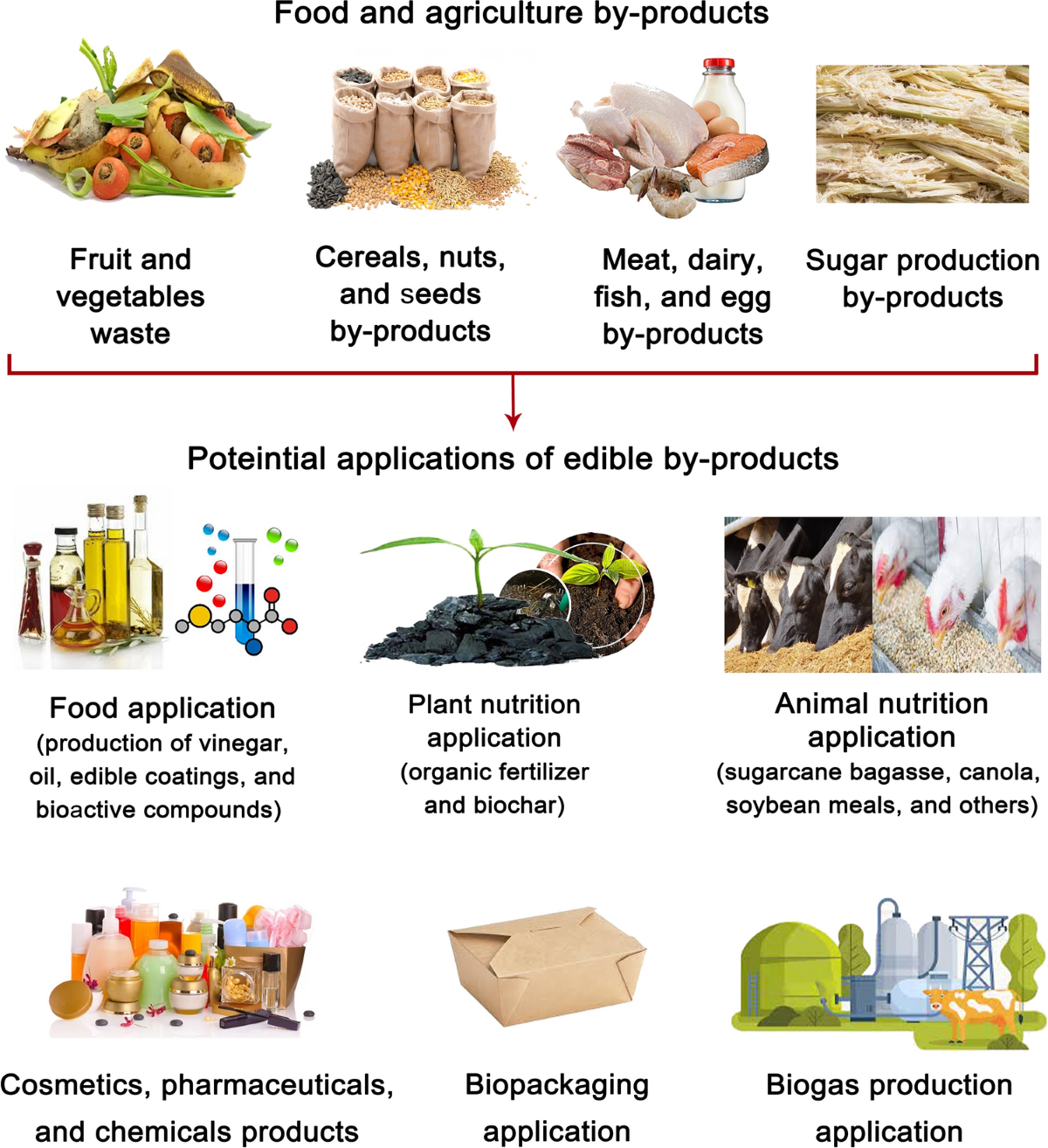 Recycling food and agriculture by-products to mitigate climate 