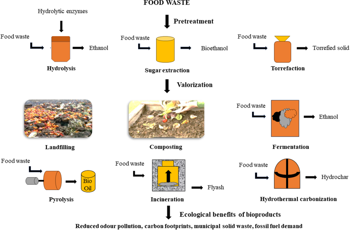 Conversion of food waste into energy and value-added products: a review |  Environmental Chemistry Letters