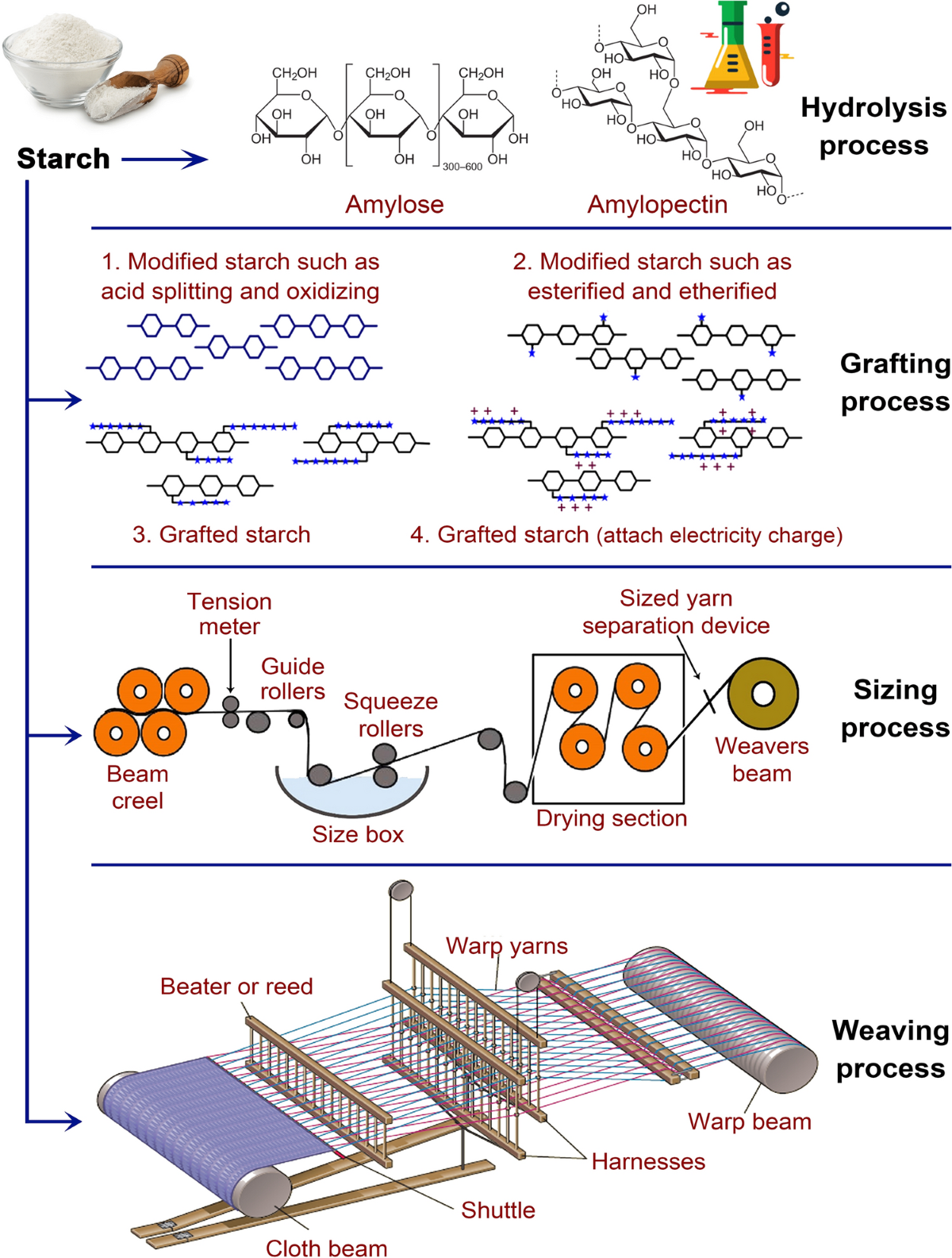 Structural Formula Of Natural Biopolymer Polysaccharide Starch That  Contains Amylose And Amylopectin Isolated On White Stock Illustration -  Download Image Now - iStock, image size:1200x1585