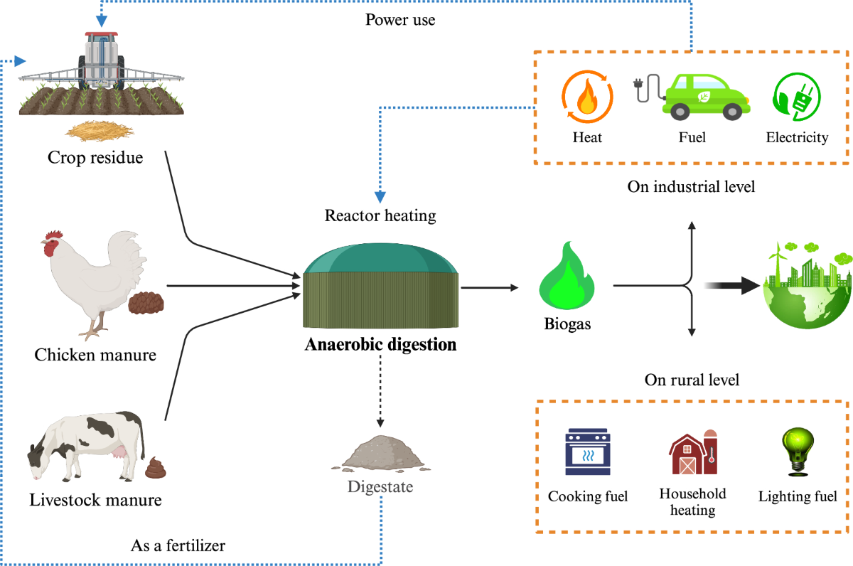Anaerobic digestion of agricultural waste for biogas production and  sustainable bioenergy recovery: a review | Environmental Chemistry Letters  | Springer Nature Link