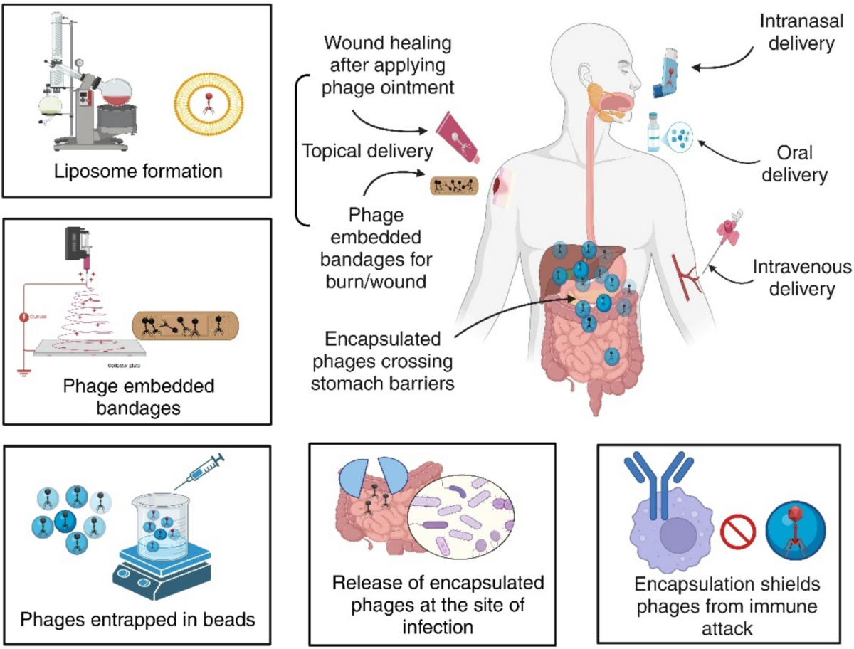 List of Collection Agencies | PDF, image size:1200x912