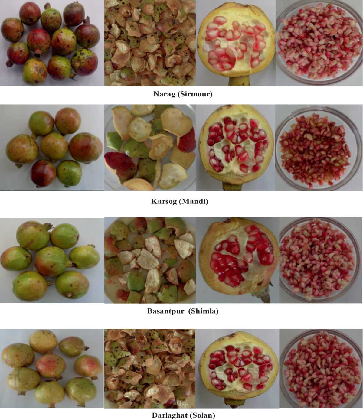 Impact of Himalayan Regions on Postharvest Nutritional and Antioxidant  Contents of Wild Pomegranate Fruit Genotypes | Applied Fruit Science |  Springer Nature Link