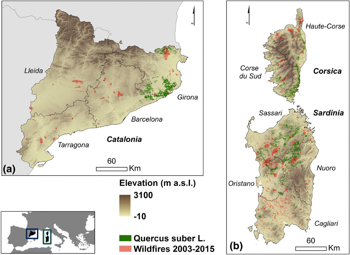 Nuragen hi-res stock photography and images - Alamy, image size:1200x876