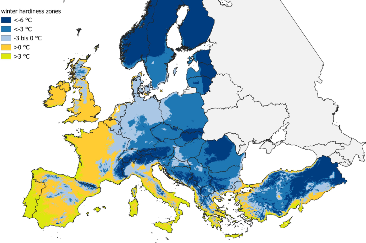 Pedoclimatic classification of Europe as a basis for site-appropriate tree  species selection in climate change | European Journal of Forest Research |  Springer Nature Link