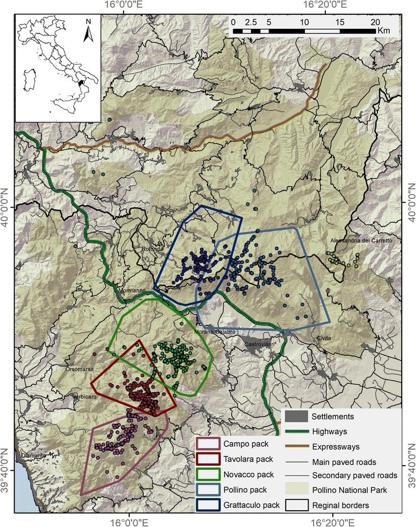 Inter-pack, seasonal and annual variation in prey consumed by wolves in  Pollino National Park, southern Italy | European Journal of Wildlife  Research, image size:821x1040