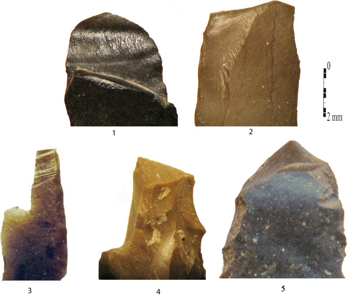 Diachronic Variation in Microlith Production Systems During the Late  Pleistocene, Algeria | African Archaeological Review