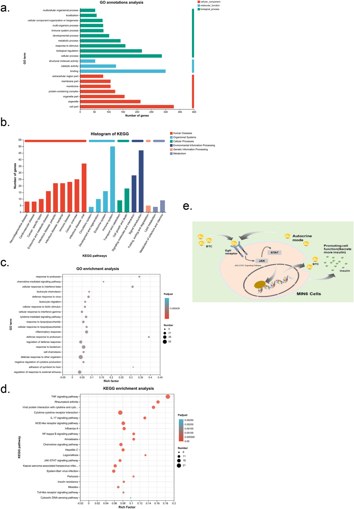 Endothelial Cells Promote Pseudo-islet Function Through BTC-EGFR-JAK/STAT  Signaling Pathways | Annals of Biomedical Engineering