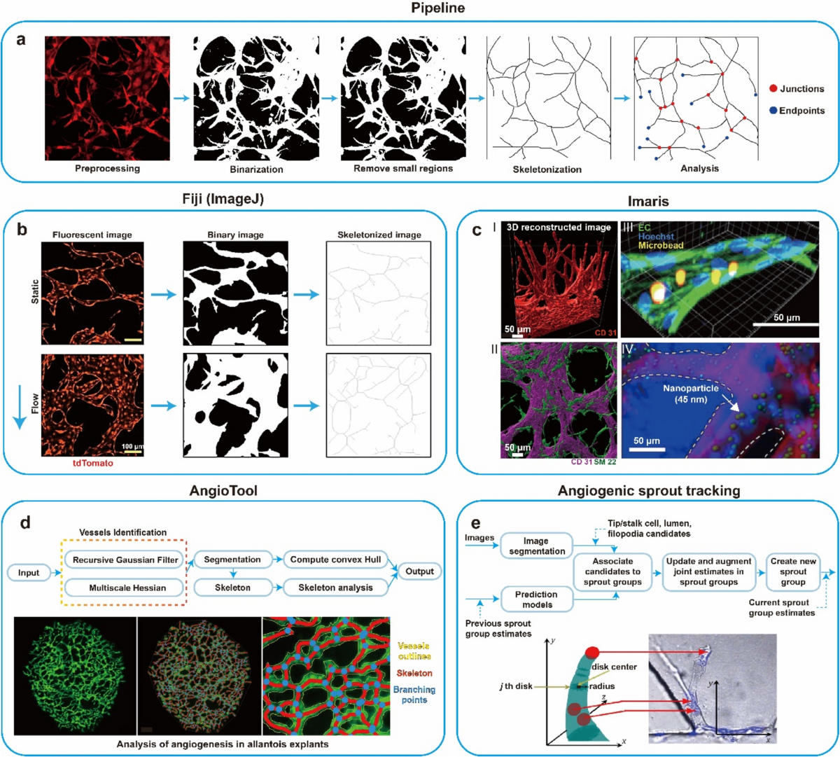 Vascularized organoid-on-a-chip: design, imaging, and analysis |  Angiogenesis | Springer Nature Link