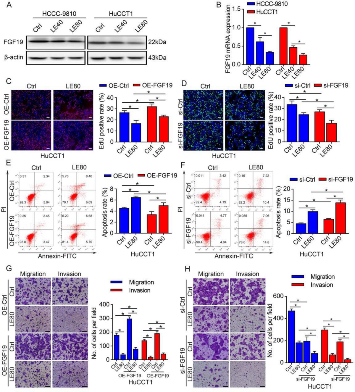 Lenvatinib inhibits cholangiocarcinoma progression by targeting the  FGF19/PI3K/AKT signaling pathway | Apoptosis | Springer Nature Link
