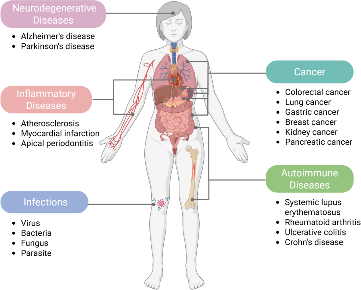 Untitled, image size:1200x963