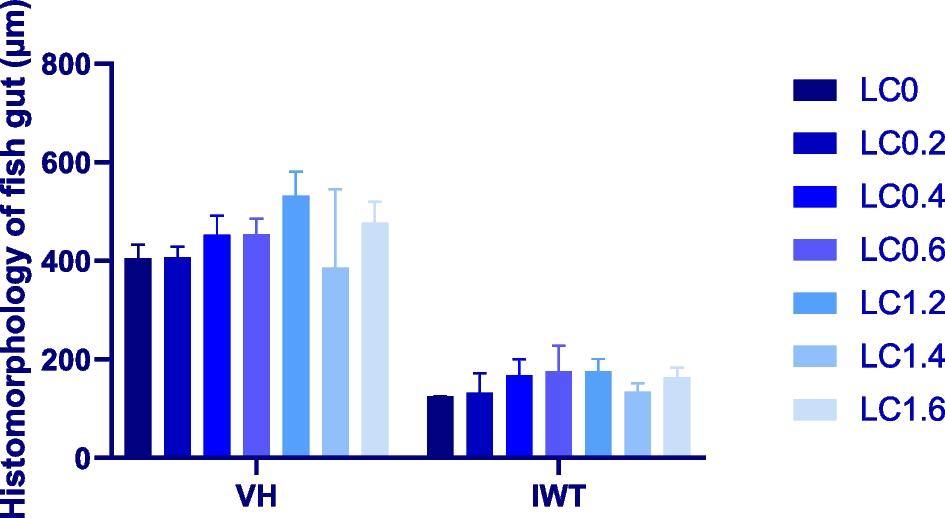 The effects of dietary L-carnitine supplementation in fish diet containing  high corn gluten meal on immunity, lipid metabolism, and metabolomics in  juvenile hybrid grouper (♀Epinephelus fuscoguttatus × ♂Epinephelus  lanceolatus)