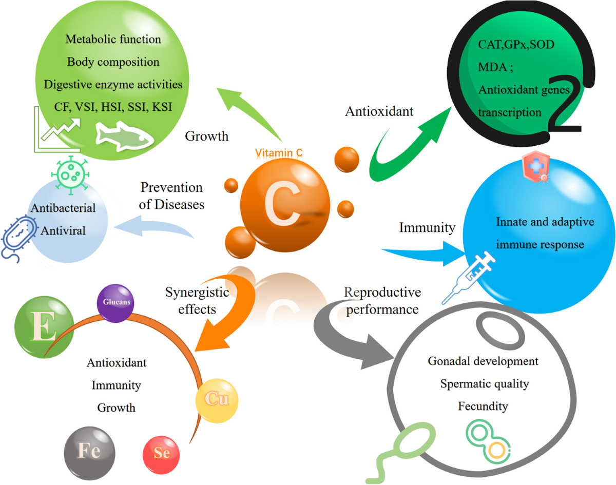 interaction of chloroacetamide electrophiles with cellular glutathion Chloroacetamide - an overview