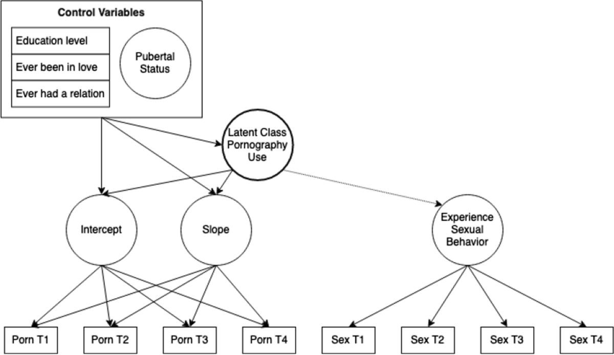 Pornography Use Profiles and the Emergence of Sexual Behaviors in  Adolescence | Archives of Sexual Behavior