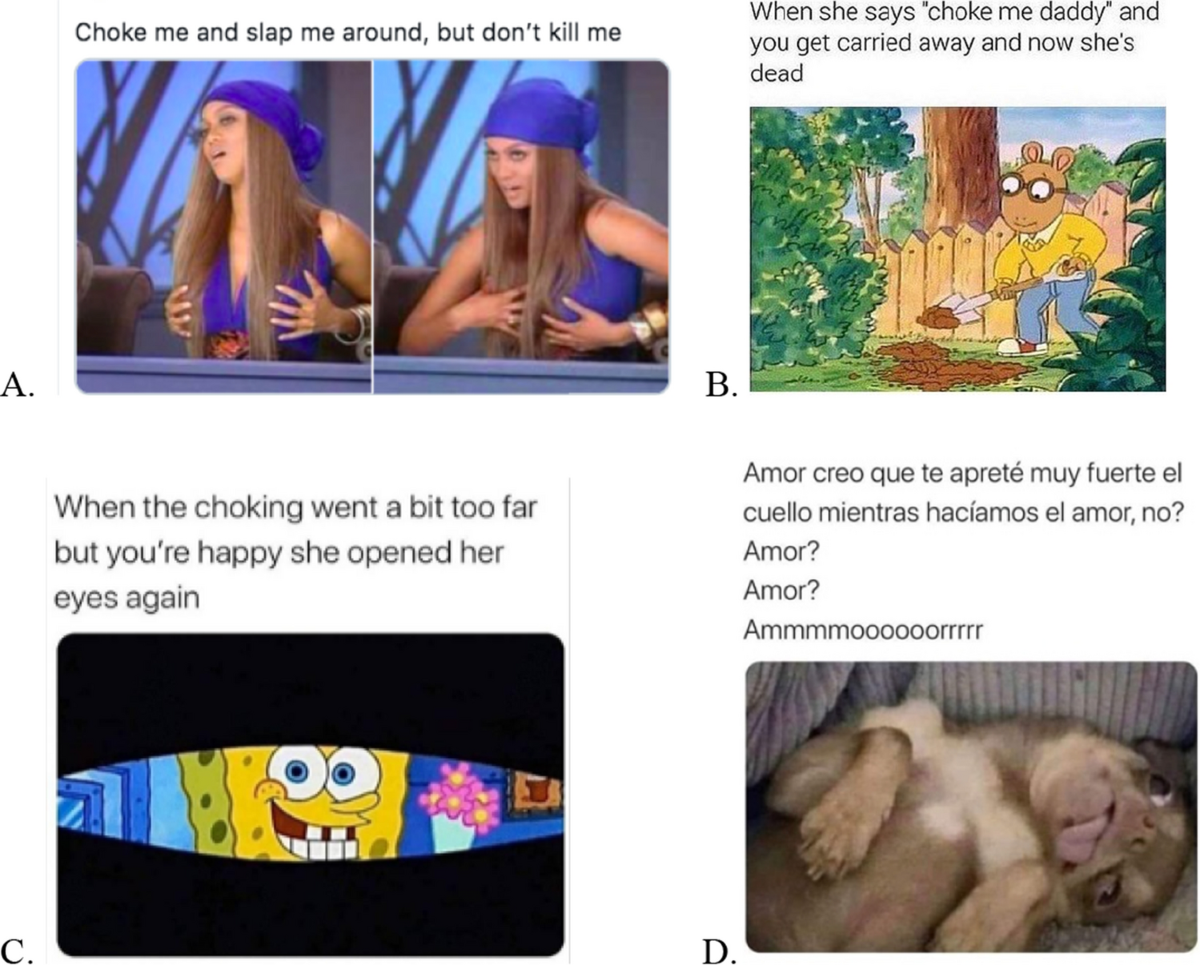 ChokeMeDaddy: A Content Analysis of Memes Related to Choking/Strangulation  During Sex | Archives of Sexual Behavior | Springer Nature Link