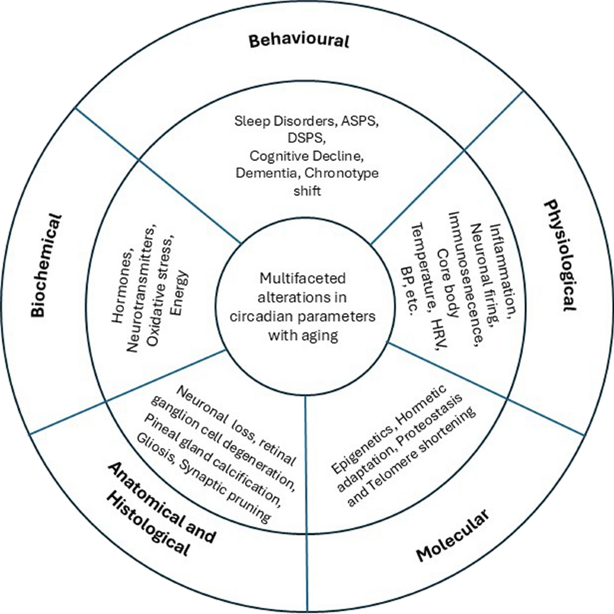 glutathione and insomnia Multifaceted dynamics of circadian timing system influence aging and  longevity | Biogerontology