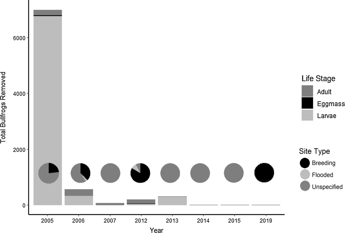 American Bullfrog Eradication Plan. Phase one: mapping the distribution of bull  frogs in the Baja California Mediterranean Region – N-Gen