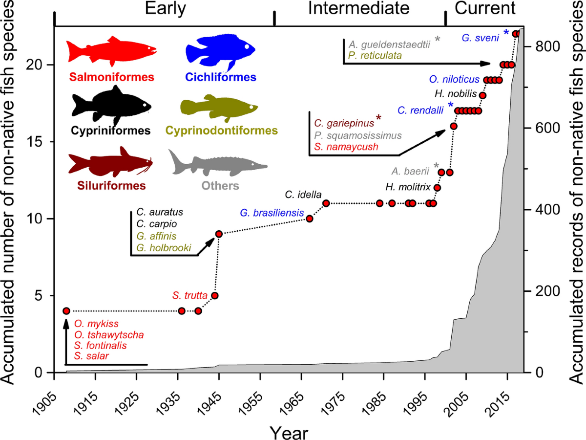 Increased geographical distribution and richness of non-native freshwater  fish species in Argentina: evidence from a literature review | Biological  Invasions, image size:1200x900