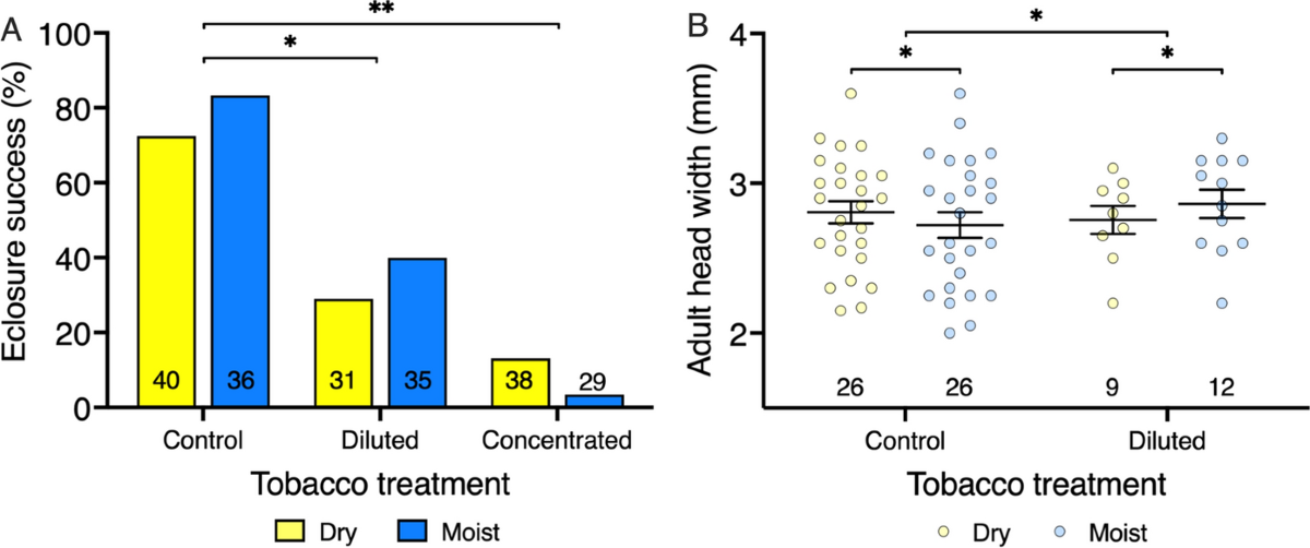 Cigarette tobacco reduces the survival of an invasive parasite that affects  Darwin's finches | Biological Invasions