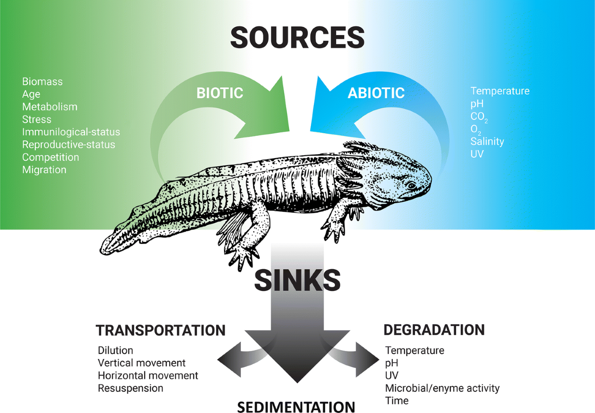 Understanding the effects of biotic and abiotic factors on sources 
