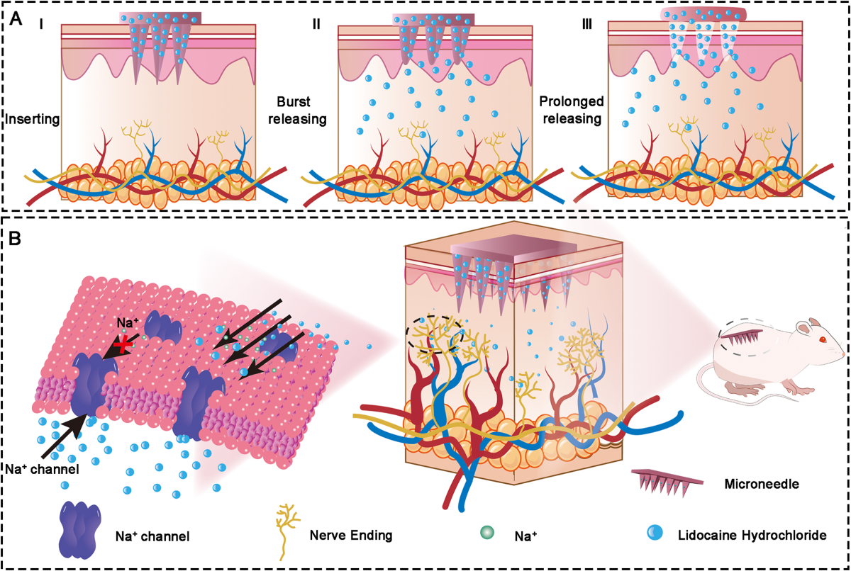The versatility of Lidocaine Powder in treating various types of skin discomfort