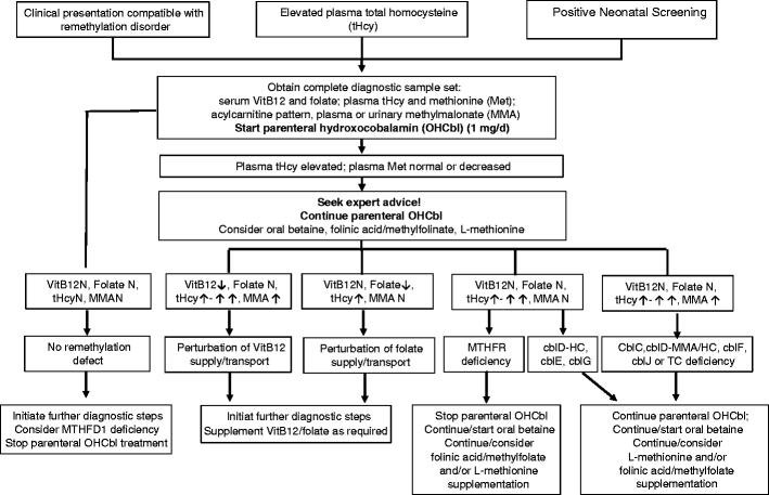 Guidelines for diagnosis and management of the cobalamin-related  remethylation disorders cblC, cblD, cblE, cblF, cblG, cblJ and MTHFR  deficiency | Journal of Inherited Metabolic Disease