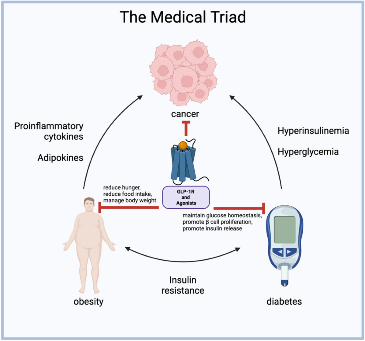 The effect of GLP-1R agonists on the medical triad of obesity, diabetes,  and cancer | Cancer and Metastasis Reviews