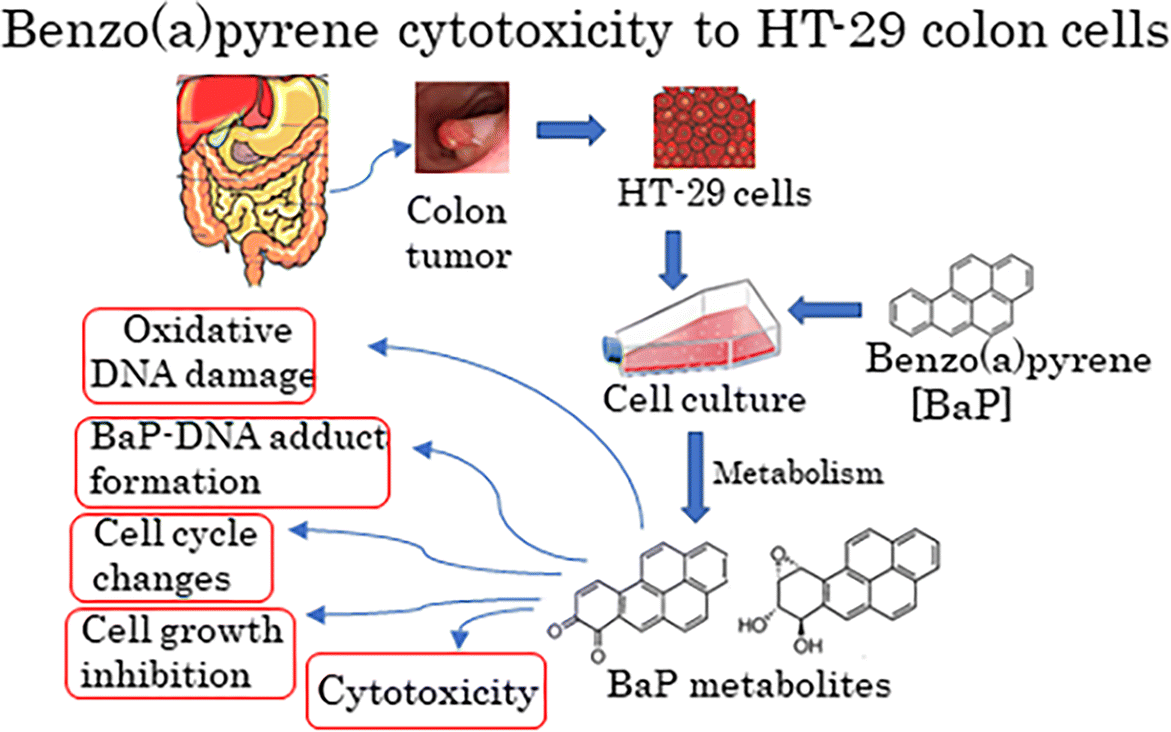 glutathione hair regrowth Recent clinical and lab studies show that exosomes—tiny cell-to-cell messenger vesicles—help restore by lengthening the growth phase, increasing blood flow, and waking up dormant follicles. Small human trials for patterned hair Dr.g Bpc 157 bone healing: Option:1 bottle