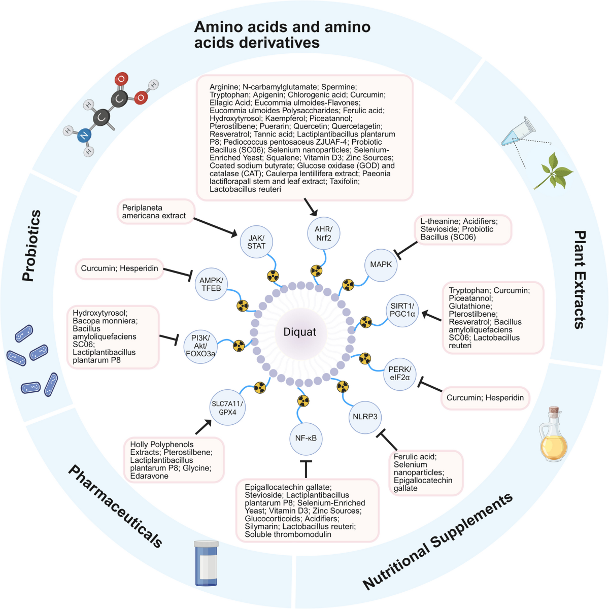 glutathione disulfide nov-002 Molecular mechanisms in diquat-induced organs injury：insights into cell signaling and potential therapeutic agents | Cell Biology and Toxicology skin tone improvement drink GSSG plays an essential Quantity:6 glutathione cream sold on