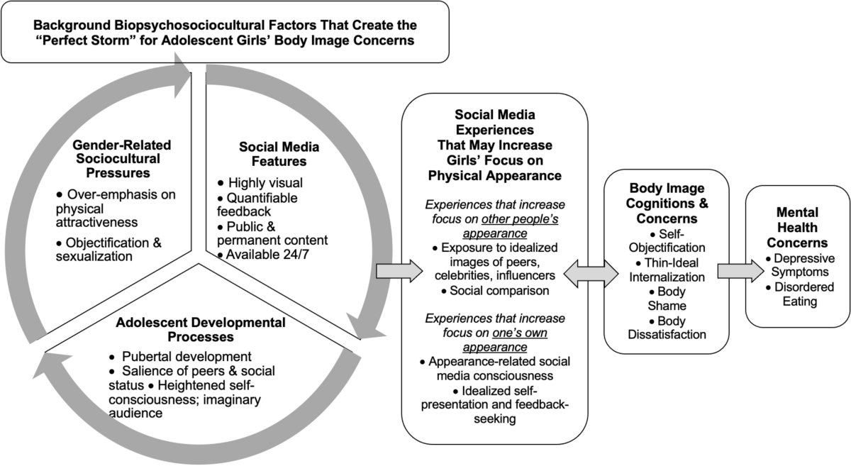 The Perfect Storm: A Developmental–Sociocultural Framework for the Role of  Social Media in Adolescent Girls' Body Image Concerns and Mental Health |  Clinical Child and Family Psychology Review, image size:1200x657