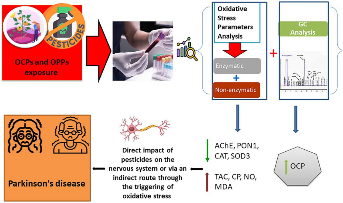 Pesticide Exposure and Its Association with Parkinson's Disease: A Case–Control Analysis | Cellular and Molecular Neurobiology