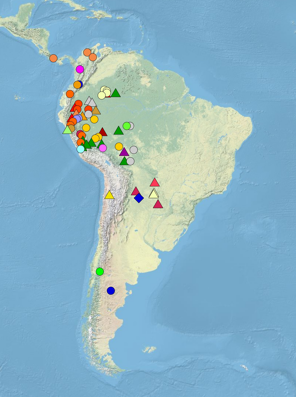 CINWA (database of terminology for cultivated plants in indigenous  languages of northwestern South America): introducing a resource for  research in ethnobiology, anthropology, historical linguistics, and  interdisciplinary research on the neolithic transition in ...