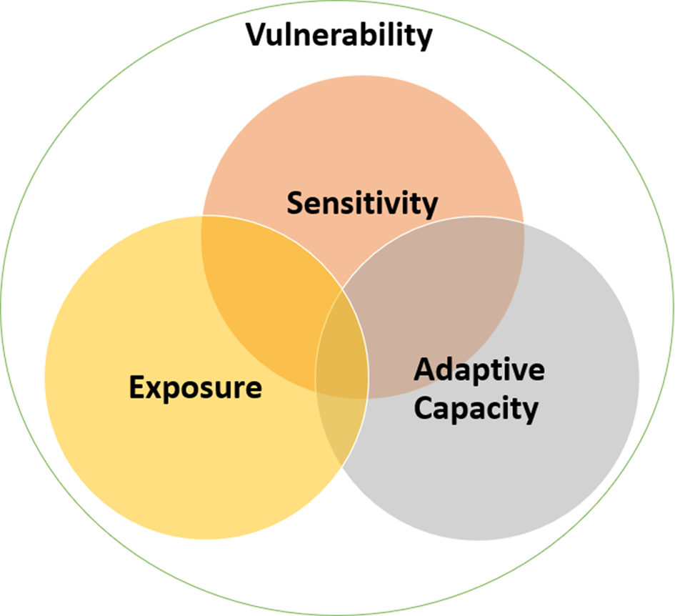 A scoping review of climate vulnerability indicators: implications for neighborhood-level vulnerability | Climatic Change | Springer Nature Link