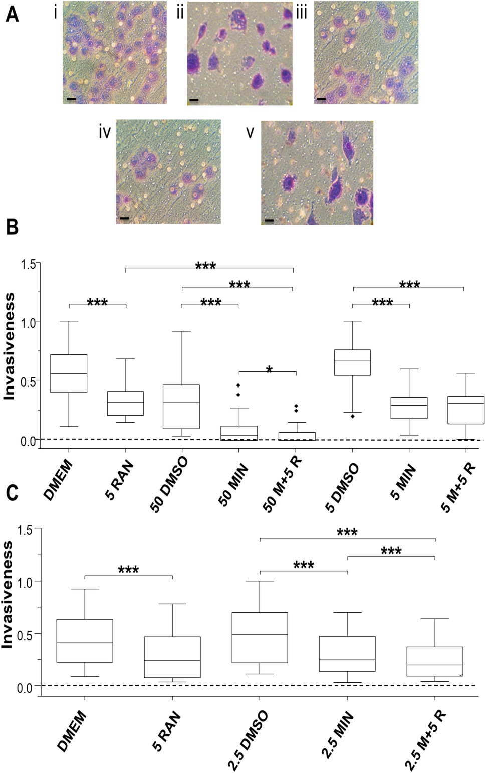 Anti-invasive effects of minoxidil on human breast cancer cells:  combination with ranolazine | Clinical & Experimental Metastasis | Springer  Nature Link