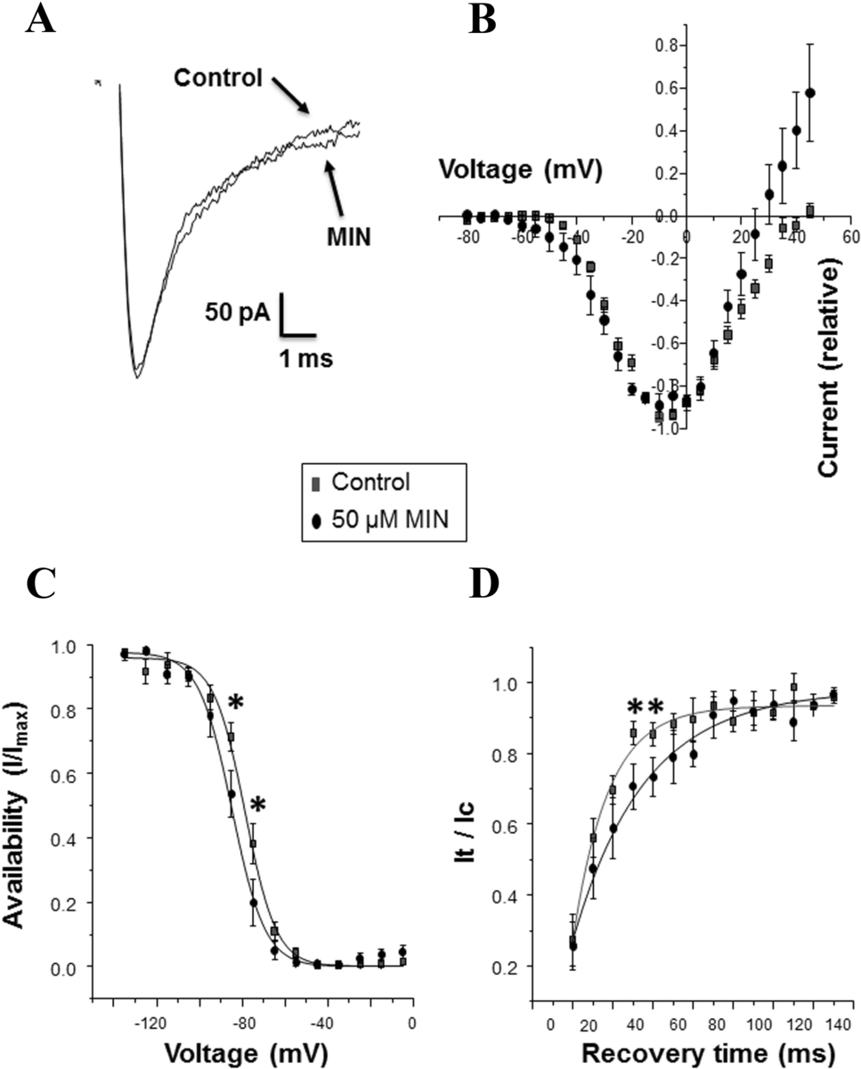 Anti-invasive effects of minoxidil on human breast cancer cells:  combination with ranolazine | Clinical & Experimental Metastasis | Springer  Nature Link
